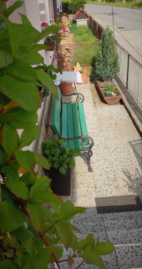 Apartman Adam Český Krumlov Dış mekan fotoğraf